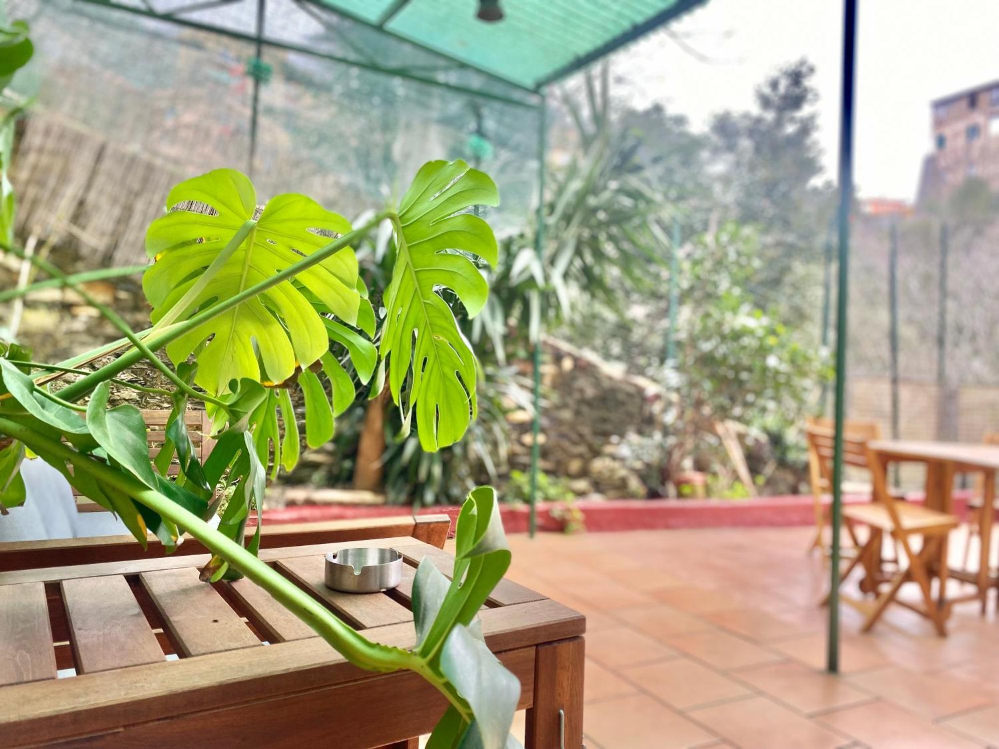 Casaviva - Bilo With Patio In Genova San Teodoro Apartment ภายนอก รูปภาพ
